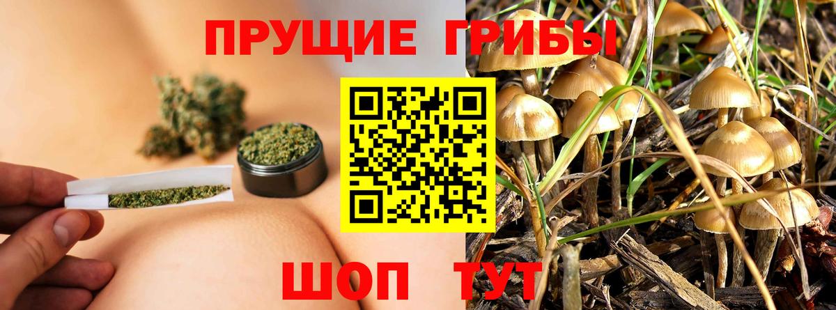 Псилоцибиновые грибы ЛСД  Псилоцибиновые грибы Psilocybine cubensis  Сухой Лог  Вход с VPN 